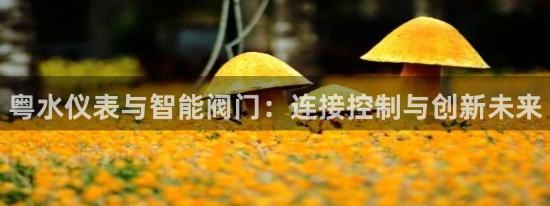 云顶国际平台为什么提现不了呢