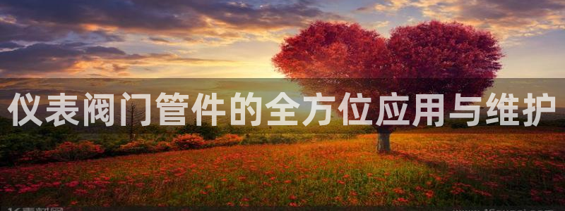 云顶国际游戏网址是什么