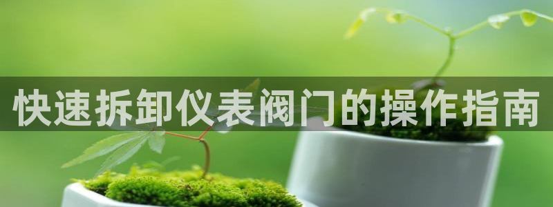 云顶国际集团io