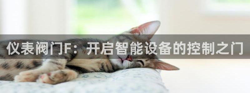 云顶国际培训中心地址