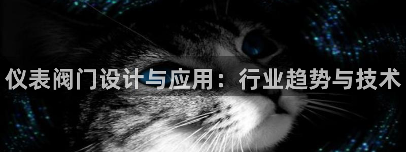 云顶国际集团发展有限公司国内项目总经理