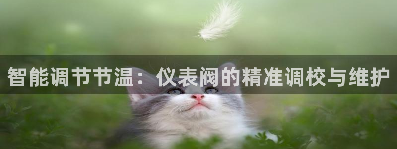 云顶国际黑网不出款了