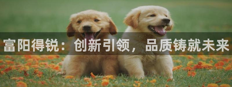 云顶国际二手房出售