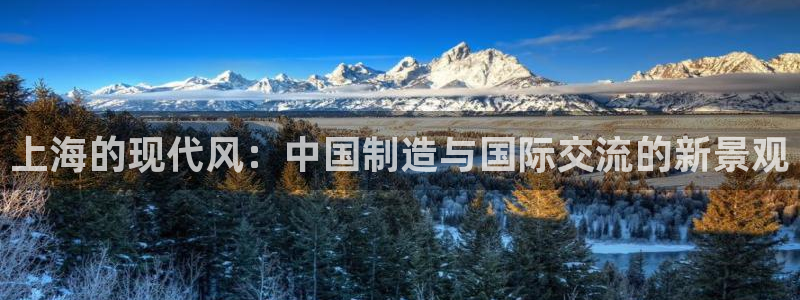 云顶国际酒店位置图