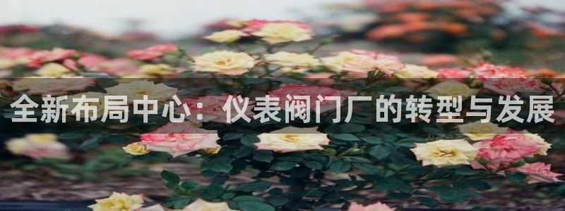 云顶国际培训中心电话