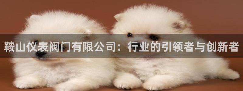 云顶国际是什么软件