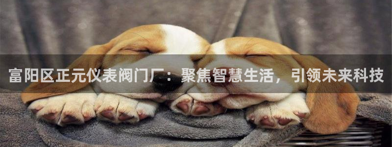 云顶集团app安卓版下载安装