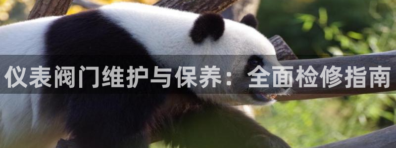 云顶国际大酒店位于