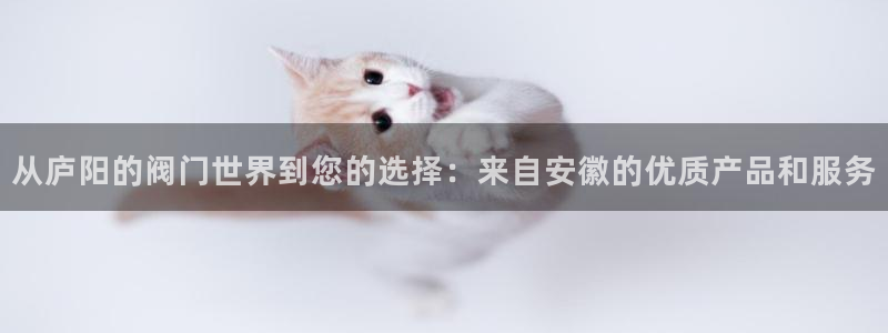 云顶国际实业有限公司