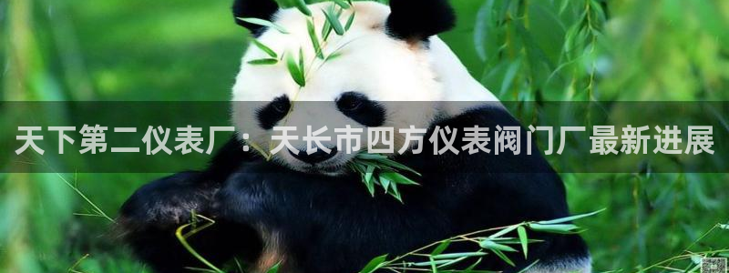 云顶国际体育官方网站入口