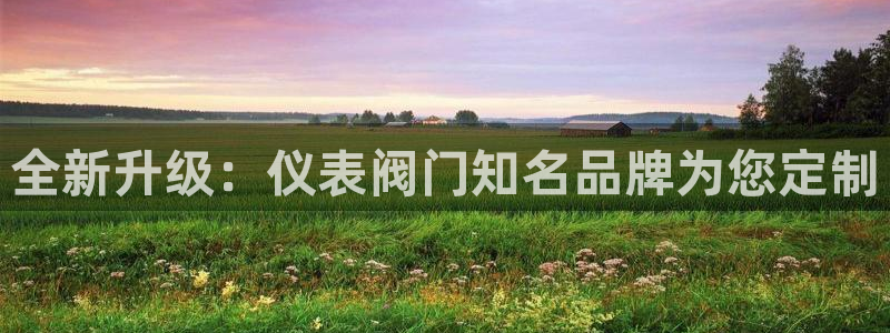 云顶国际平台游戏