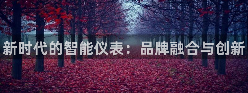 云顶集团有限公司简介电话