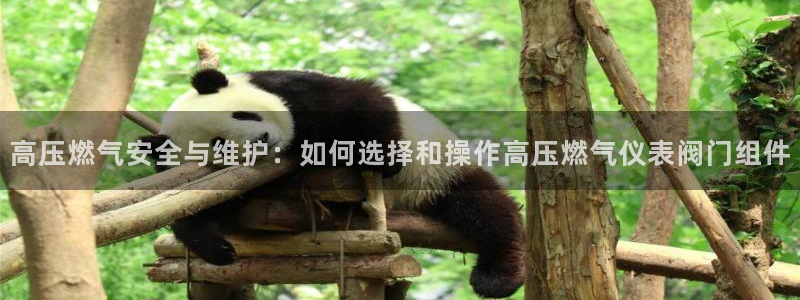 云顶集团app安卓版下载安装