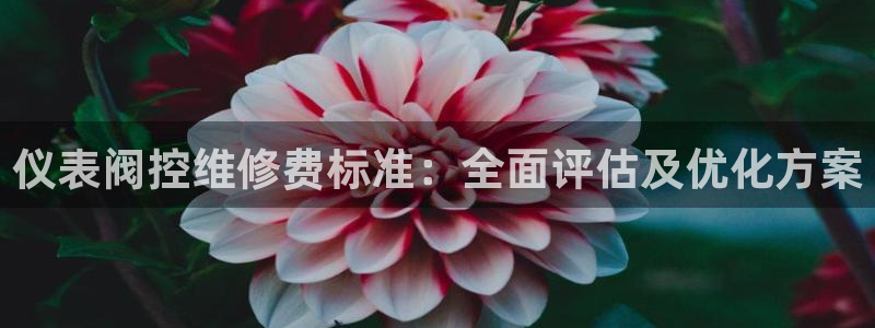 云顶国际服什么时候更新s9.5