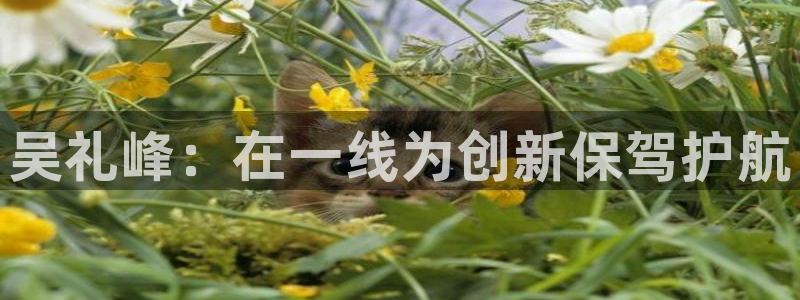 云顶电子游戏网站
