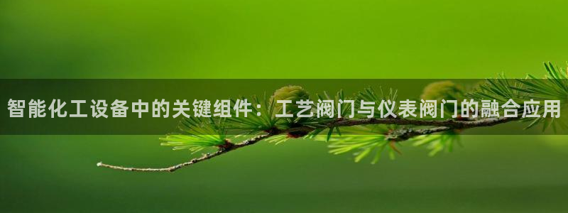 云顶国际酒店老板叫什么