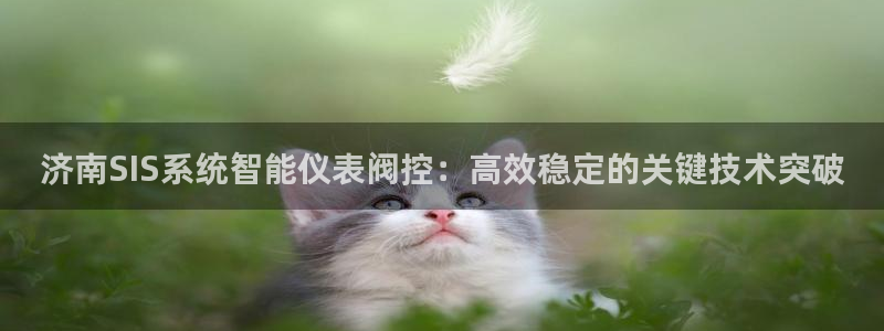 yd2333云顶电子游戏
