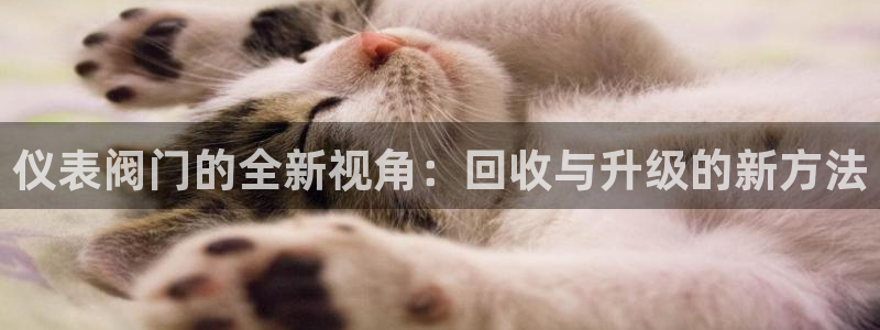 云顶国际会议中心