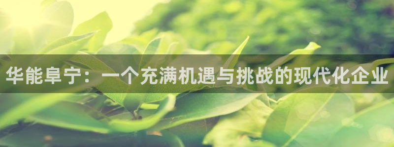 云顶国际百度百科