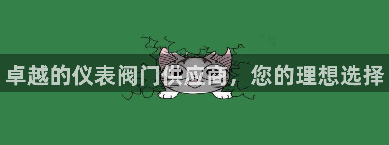 云顶国际测试服怎么进