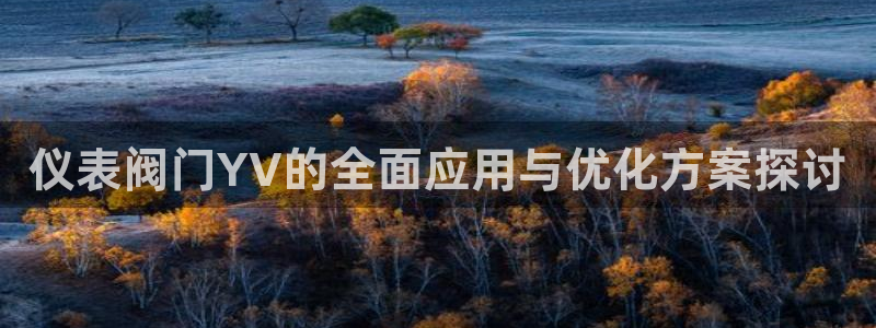 太原云顶国际老板
