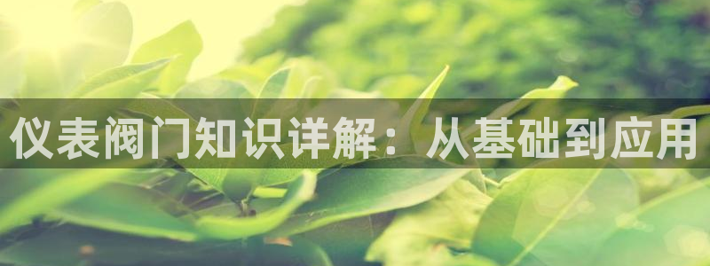 云顶国际提款不到账