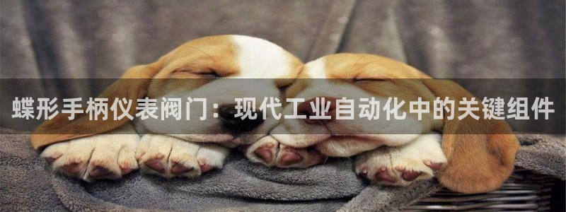云顶集团app免费下载