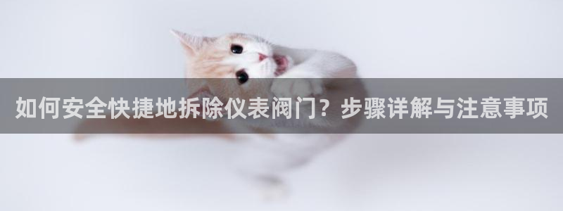 云顶国际app官网